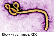 U.S. Cameraman Treated for Ebola 'Free' of the Virus