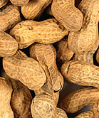Infants With Eczema May Be More Prone to Peanut Allergy: Study
