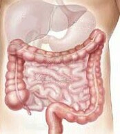 Colon Cancer's Location May Be Factor in Survival