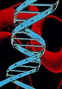 Another Genetic Error Linked to Childhood Leukemia