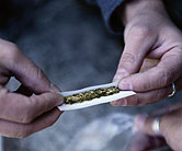 Regular Pot Use as Teen Not Tied to Long-Term Health Problems: Study