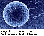 Plastics Chemical BPA May Harm Human Fertility: Study