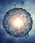 New Test May Spot Which Embryos Stand Greatest Chance of Survival