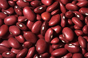 Beans, Lentils, Peas: Your Recipe for Lower Cholesterol?