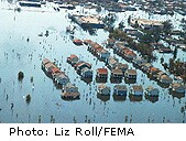 Stillbirths Higher After Hurricanes Katrina And Rita: Study