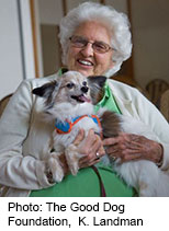 Therapy Dogs Help Cancer Patients Cope With Tough Treatments