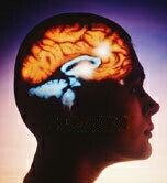 Methamphetamine May be More Harmful to Teen Brains