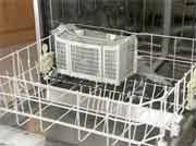 Could a Dishwasher Raise Your Child's Allergy, Asthma Risk?