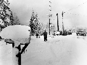 Beware the Bitter Cold