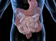 Stem Cells, Fecal Transplants Show Promise for Crohn's Disease