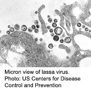 U.S. Traveler Returning From Liberia Dies of Lassa Fever: CDC